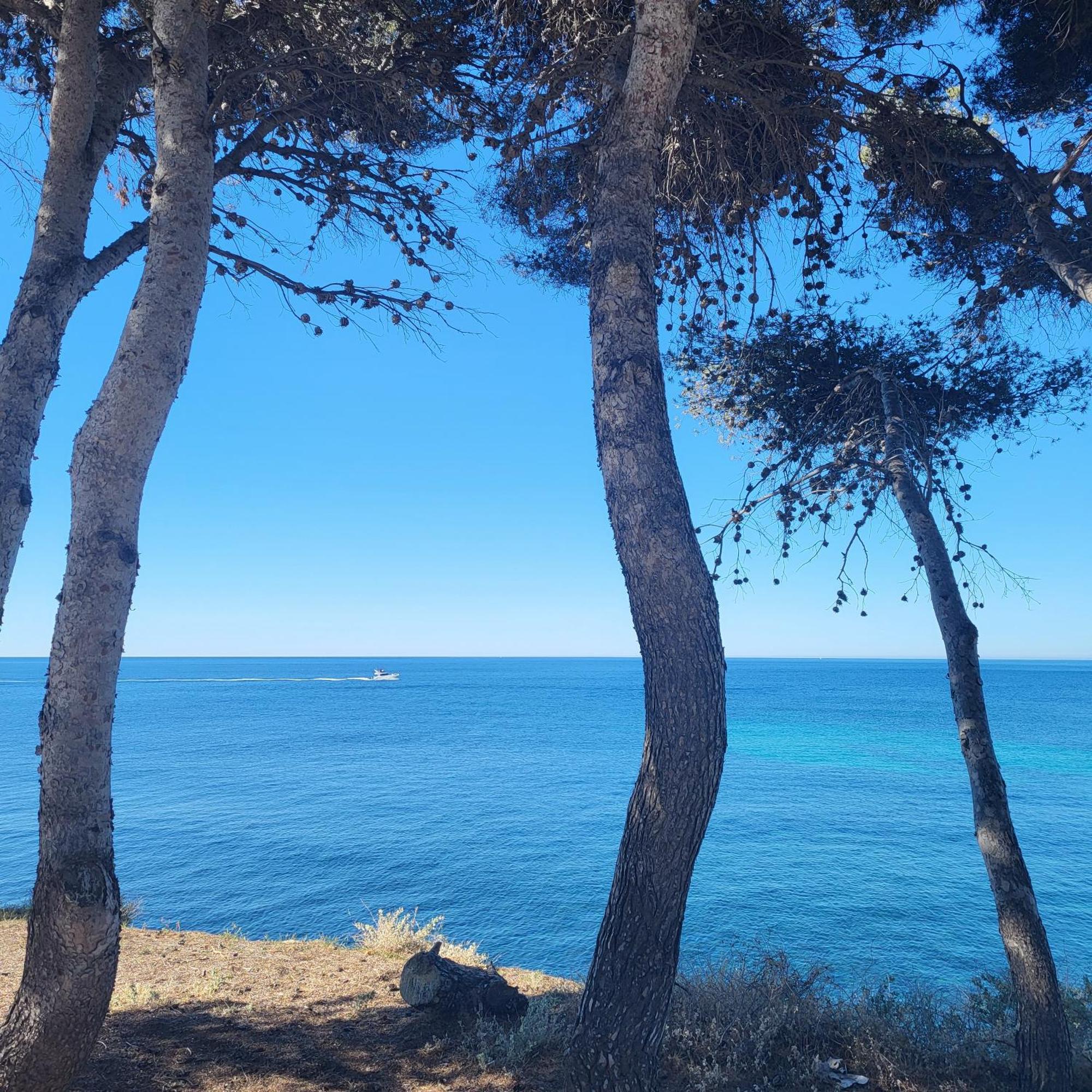 Апартаменти A 50M Du Port De Carry-Cote Bleue Екстер'єр фото